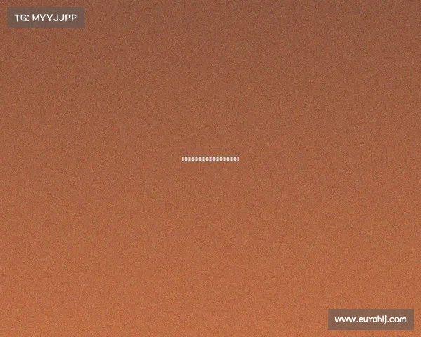 关于赛事的新闻关于赛事的新闻报道